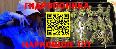 прущая мука Ставрополь