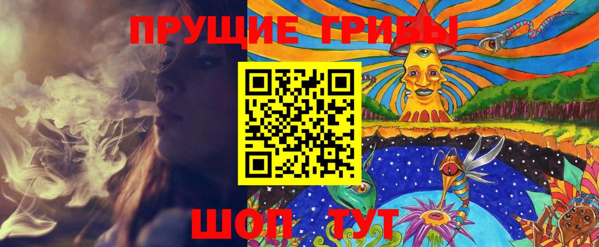 Псилоцибиновые грибы Cubensis  Псилоцибиновые грибы мицелий  Москва  Вход с VPN 